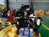 Cummins Engine 4BTA3.9-C125-II
